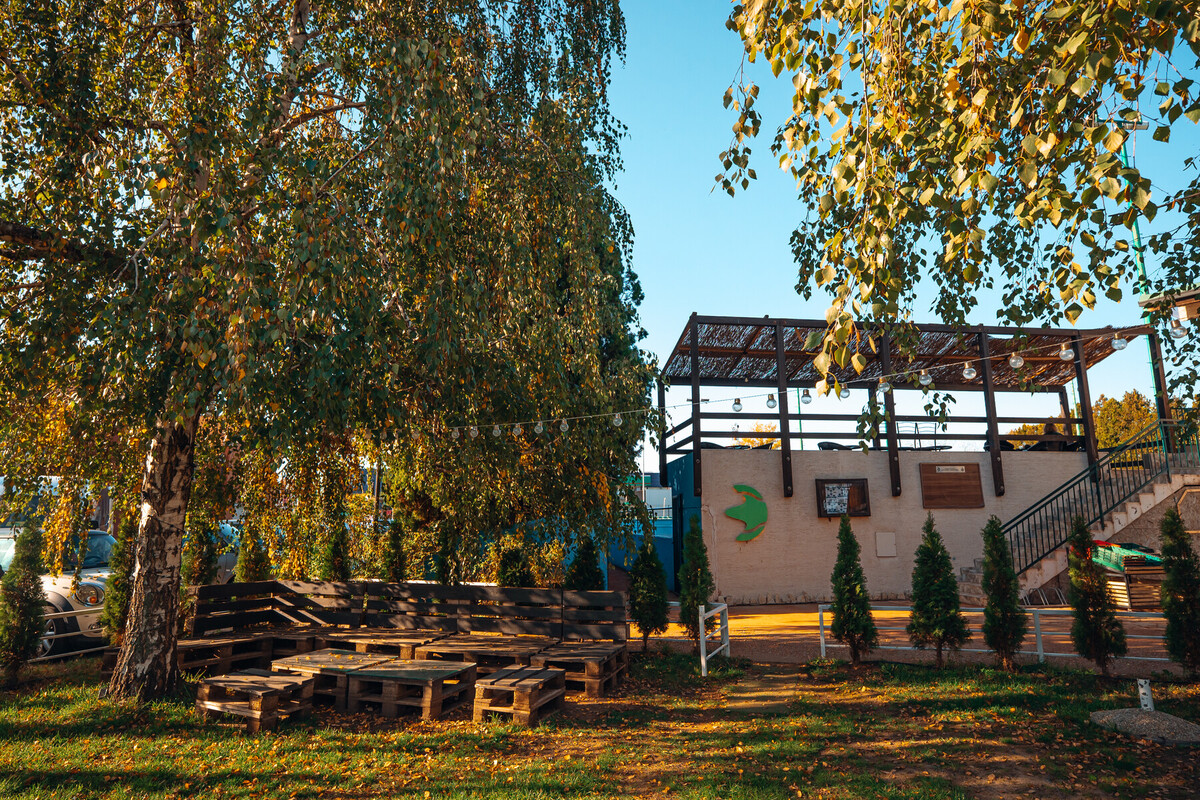 Garden